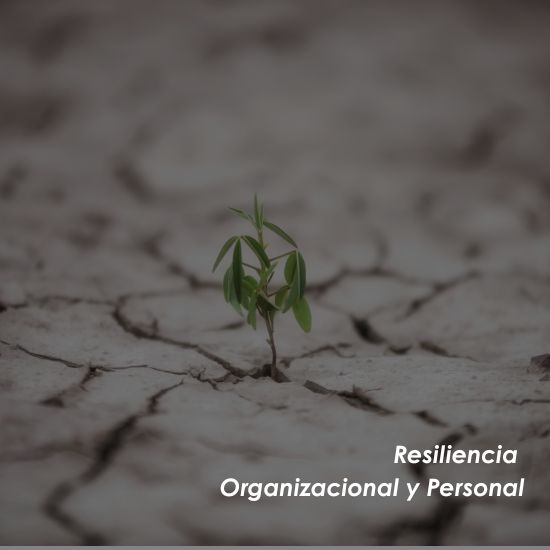 Resiliencia Organizacional y Personal