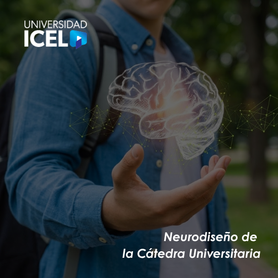 Neurodiseño de la Cátedra Universitaria